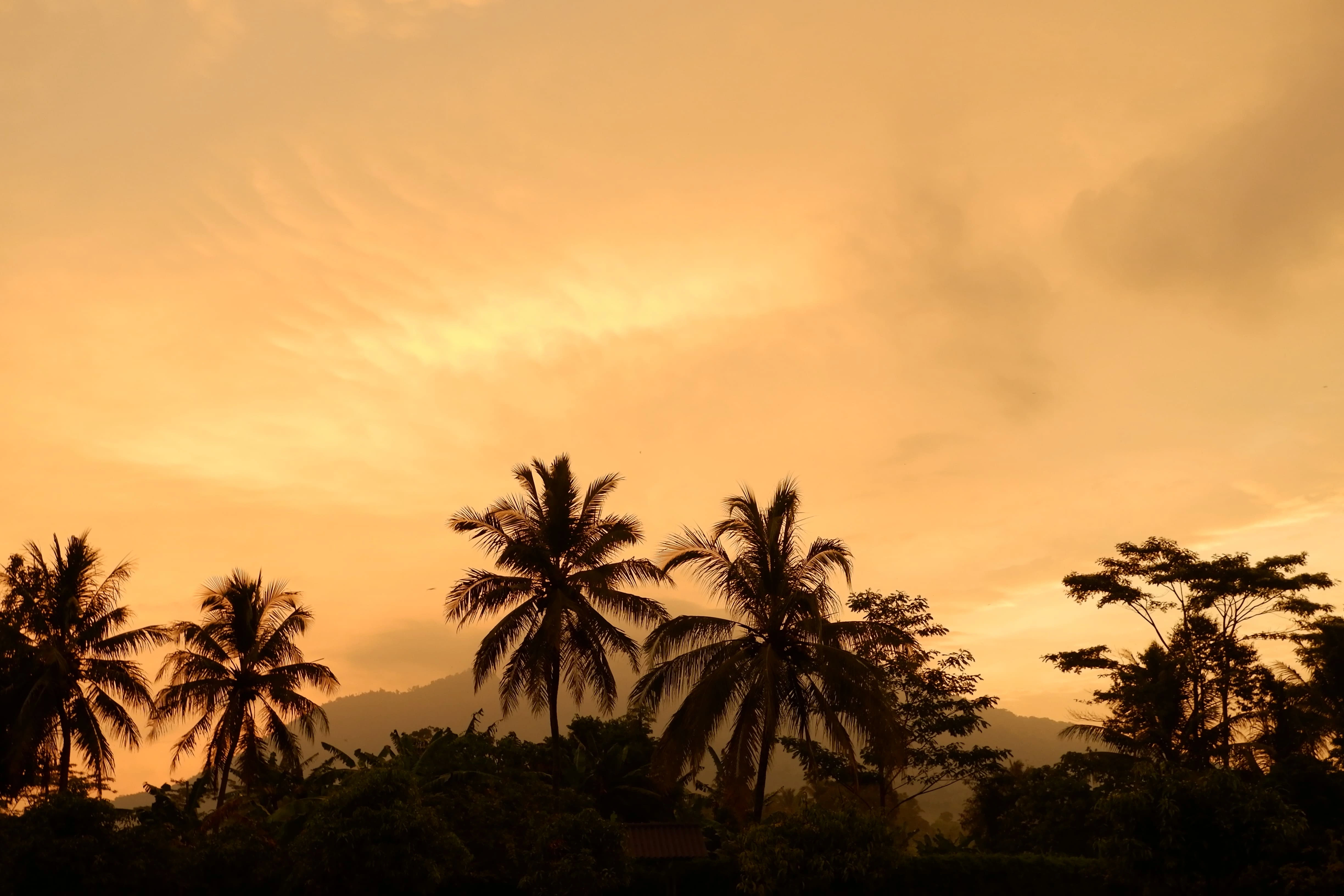 Snapshot 8